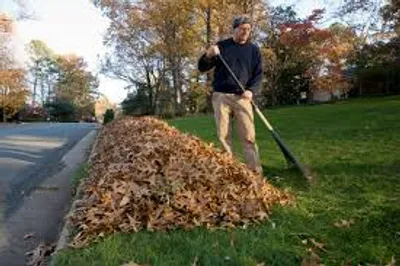 Illustration rake - Image 4