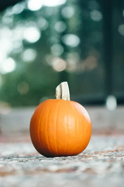 Illustration pepo - Image 2