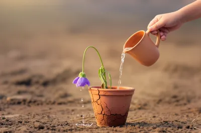 Illustration gracious - Image 1