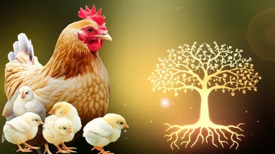 Illustration brood - Image 1