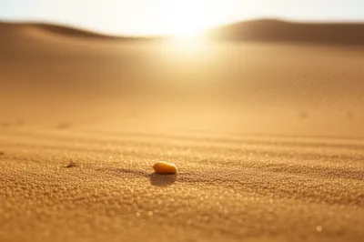 Illustration groats - Image 1