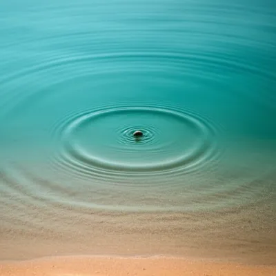 Illustration p - Image 1