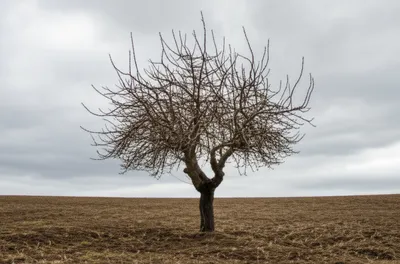 Illustration blinder - Image 1