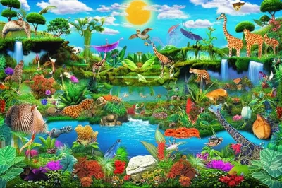 Illustration denizen - Image 1