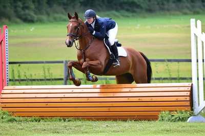 Illustration balk - Image 1