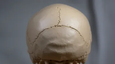 Illustration torus - Image 1