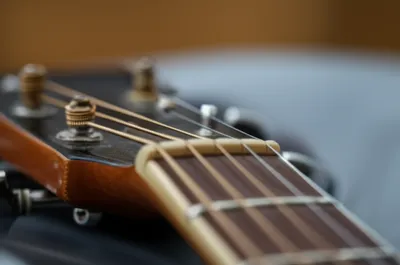 Illustration nuts - Image 1