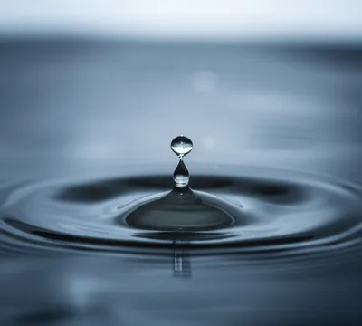 Illustration tick - Image 1