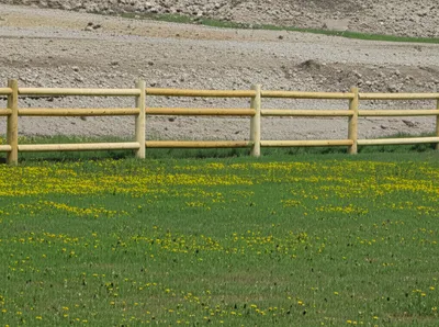 Illustration fences - Image 1