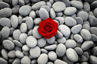 Illustration drown - Image 1