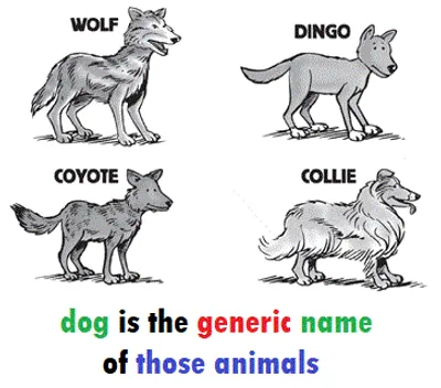 Illustration generic - Image 2