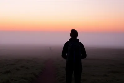 Illustration roaming - Image 1