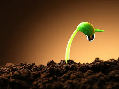 Illustration spring - Image 1