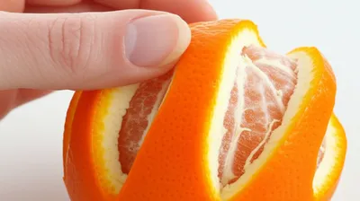 Illustration peeled - Image 1