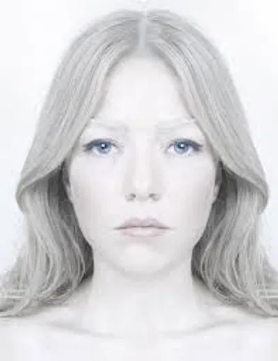 Illustration pale - Image 2