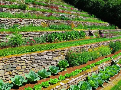 Illustration retaining - Image 1