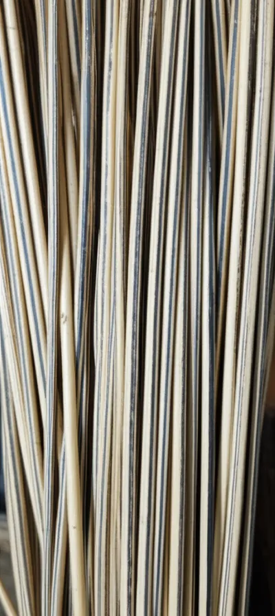 Illustration virgate - Image 1