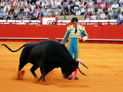 Illustration bullfights