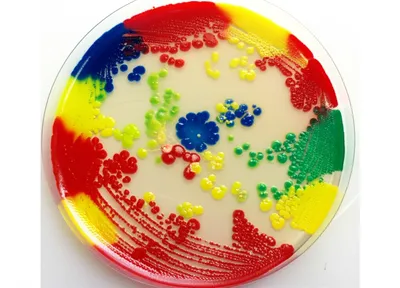 Illustration subcultures - Image 1