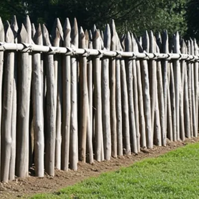 Illustration peels - Image 1