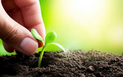 Illustration genuinely