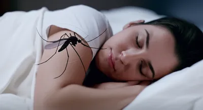 Illustration irritating