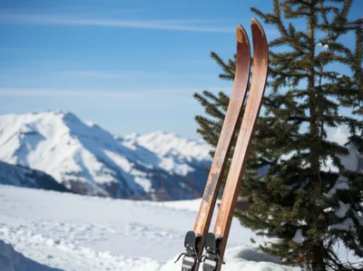 Illustration slat - Image 1