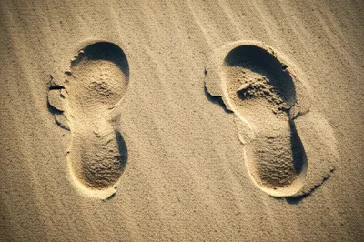 Illustration repeated - Image 1