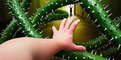 Illustration hinders - Image 1