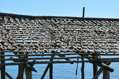 Illustration flakes - Image 1