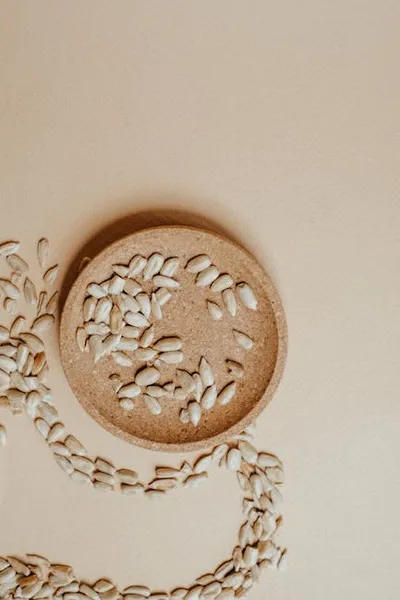 Illustration shelled - Image 2