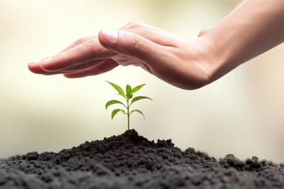 Illustration help - Image 1