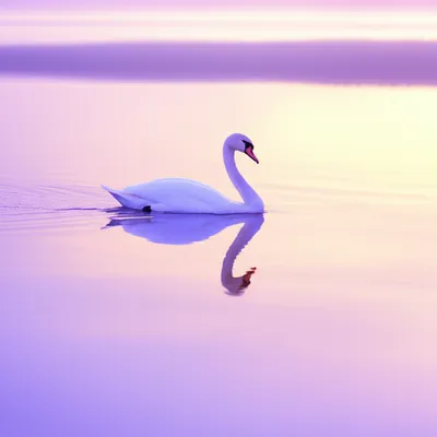 Illustration elegantly