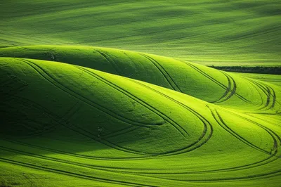 Illustration knobs - Image 1