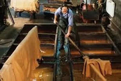 Illustration tan - Image 3