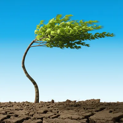 Illustration sway - Image 1