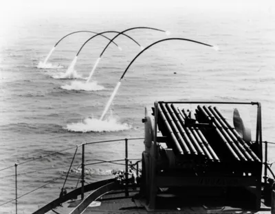 Illustration hedgehog - Image 1