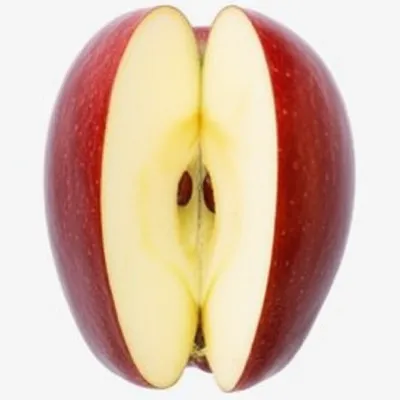 Illustration part - Image 1