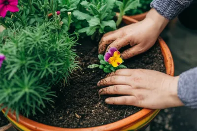 Illustration tubs - Image 1