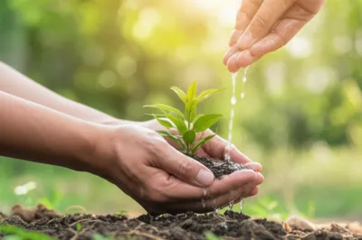 Illustration handling - Image 1