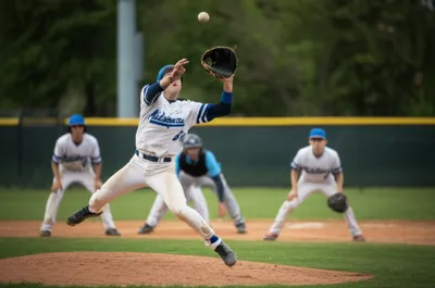 Illustration fielding - Image 1