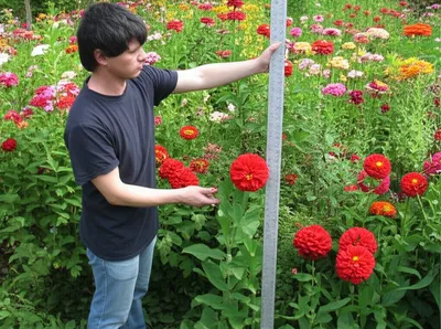 Hình ảnh minh họa legalism - Ảnh 1