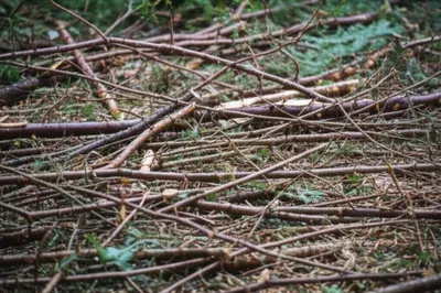 Illustration slashes - Image 1