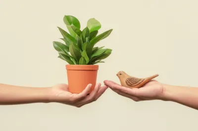 Illustration reciprocal - Image 1