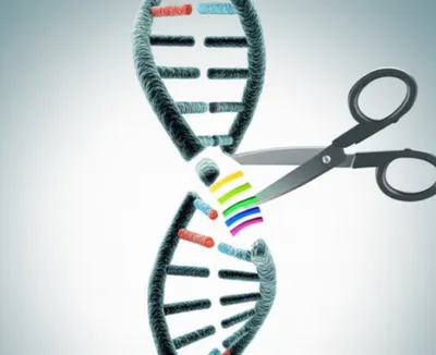 Illustration edit - Image 1