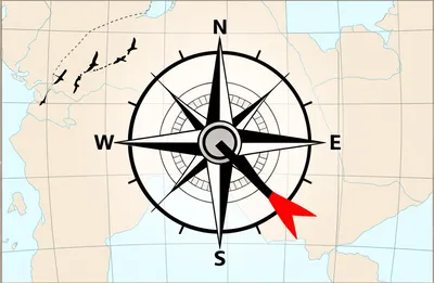 Illustration northwestwards