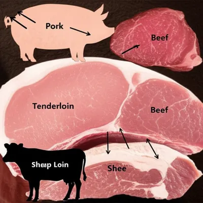Illustration loin - Image 1