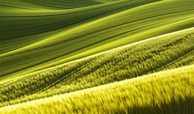 Illustration undulation - Image 1