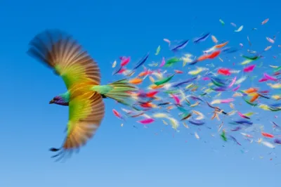 Illustration wing - Image 1