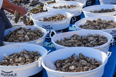 Illustration washes - Image 1